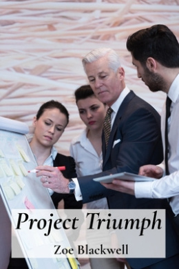 Project Triumph: Orchestrating Operational Excellence for Peak Performance cover